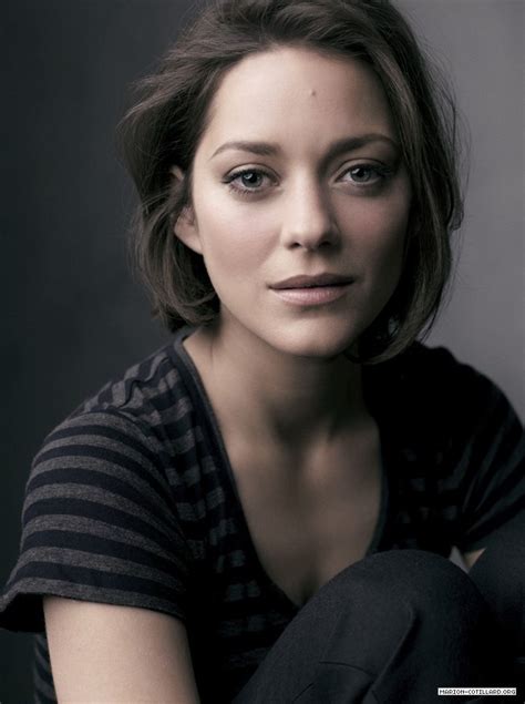 photo marion cotillard|marion cotillard photo gallery.